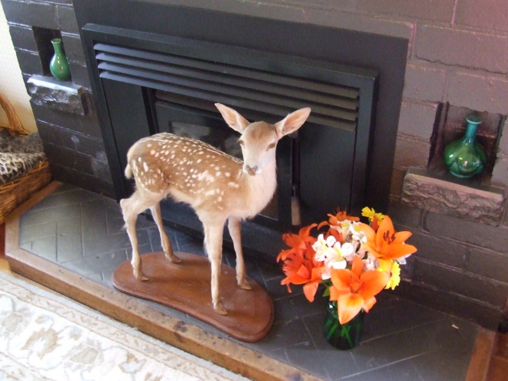 If you put flowers next to the taxidermy, it's less evil